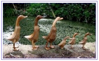 wooden ducks